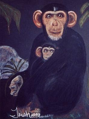 chimpanzees.jpg